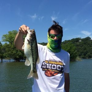 Meet your Posher, Its fish